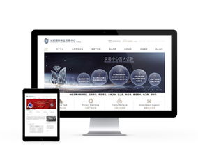 先鋒時代 成都互動多媒體設計與網站建設的融合與創新