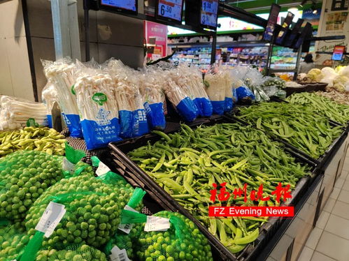 福州蔬菜批發(fā)價大幅回落，市民菜籃子拎得更輕松