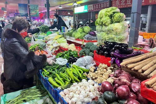 穩(wěn)定民生保障 糧油菜肉蛋奶充足與新鮮蔬菜批發(fā)的繁榮