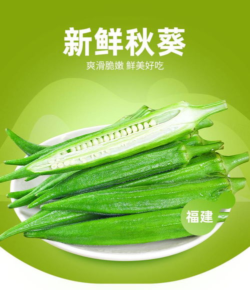 新鮮現摘秋葵 5斤當季黃秋葵的批發與美食魅力
