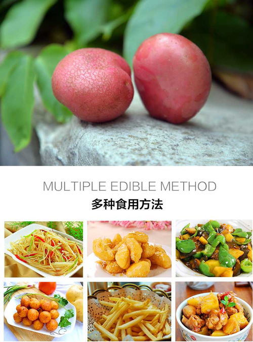農家自種紅皮洋芋 源自云南的天然美味，10斤裝新鮮包郵批發