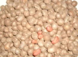 菏澤新鮮蔬菜批發 源頭把控品質，保障低價貨源穩定供應
