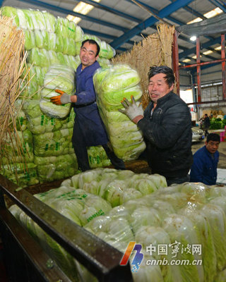 寧波蔬菜批發市場貨足價穩 新鮮蔬菜批發井然有序