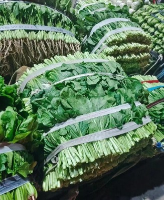 厚街蔬菜配送公司 打造新鮮蔬菜批發新標桿